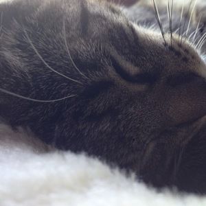 Meet your Posher, Friday with